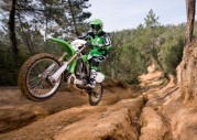 Kawasaki KLX450R